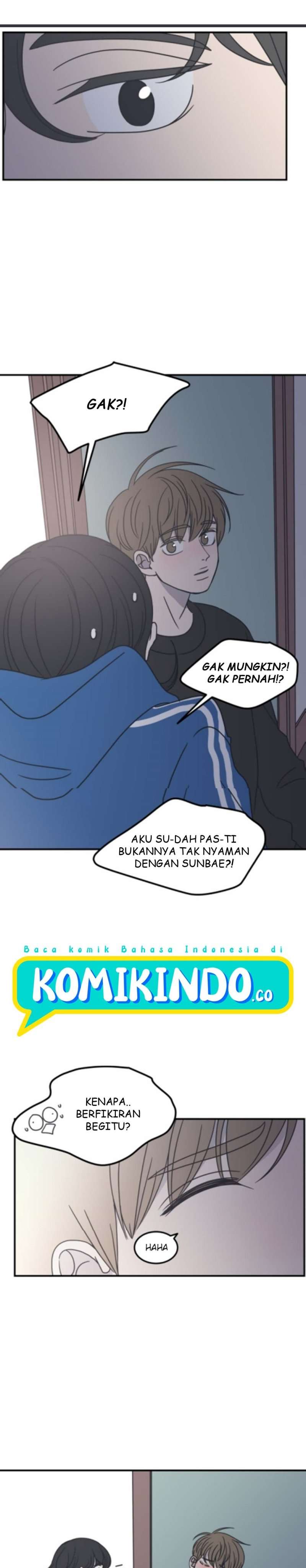 Panel 17