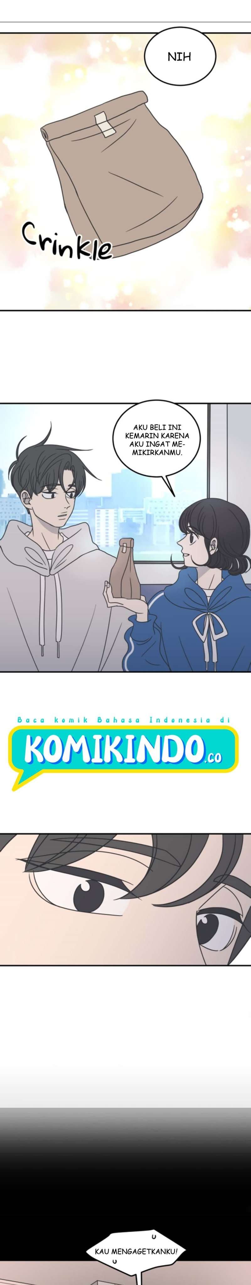 Panel 17