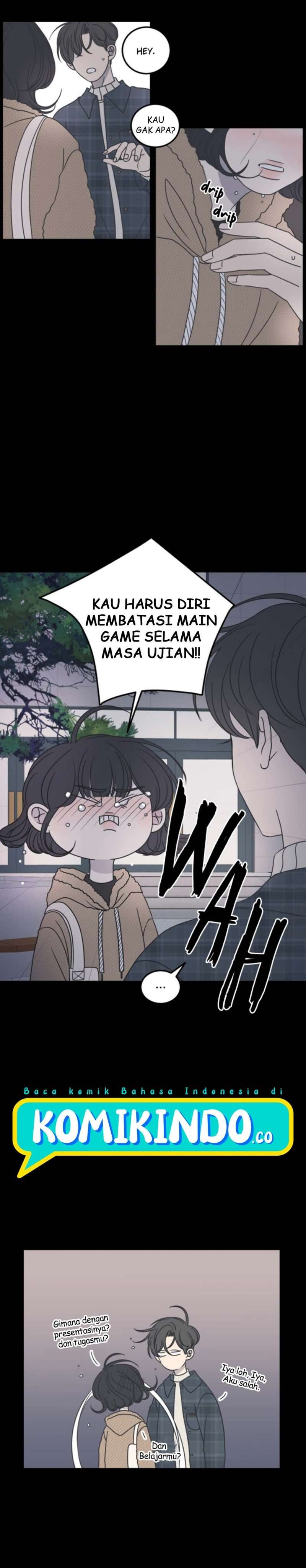 Panel 5
