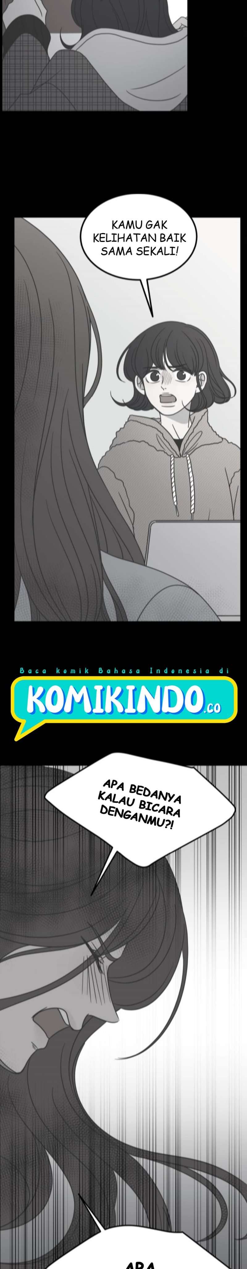 Panel 13