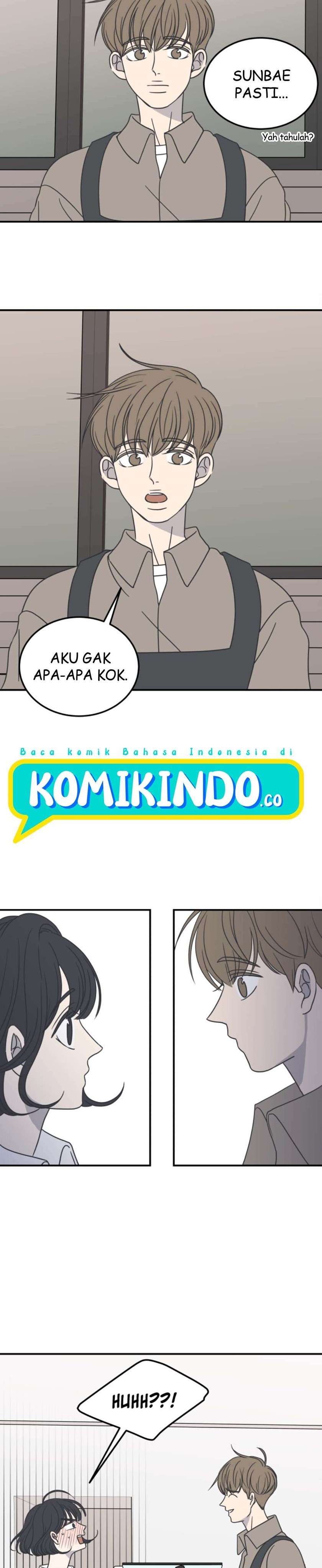 Panel 17