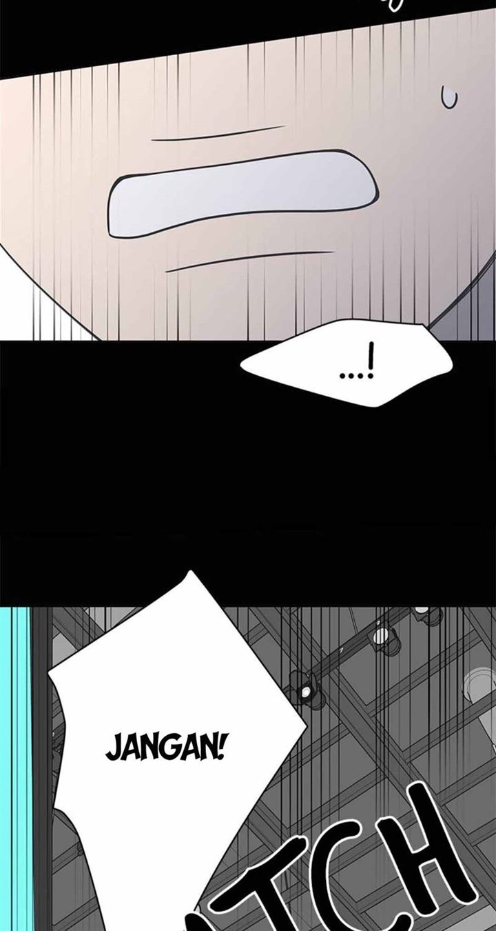 Panel 17
