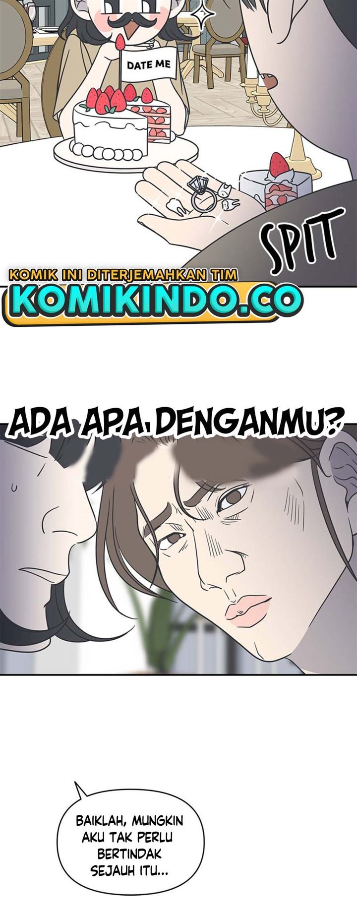 Panel 13