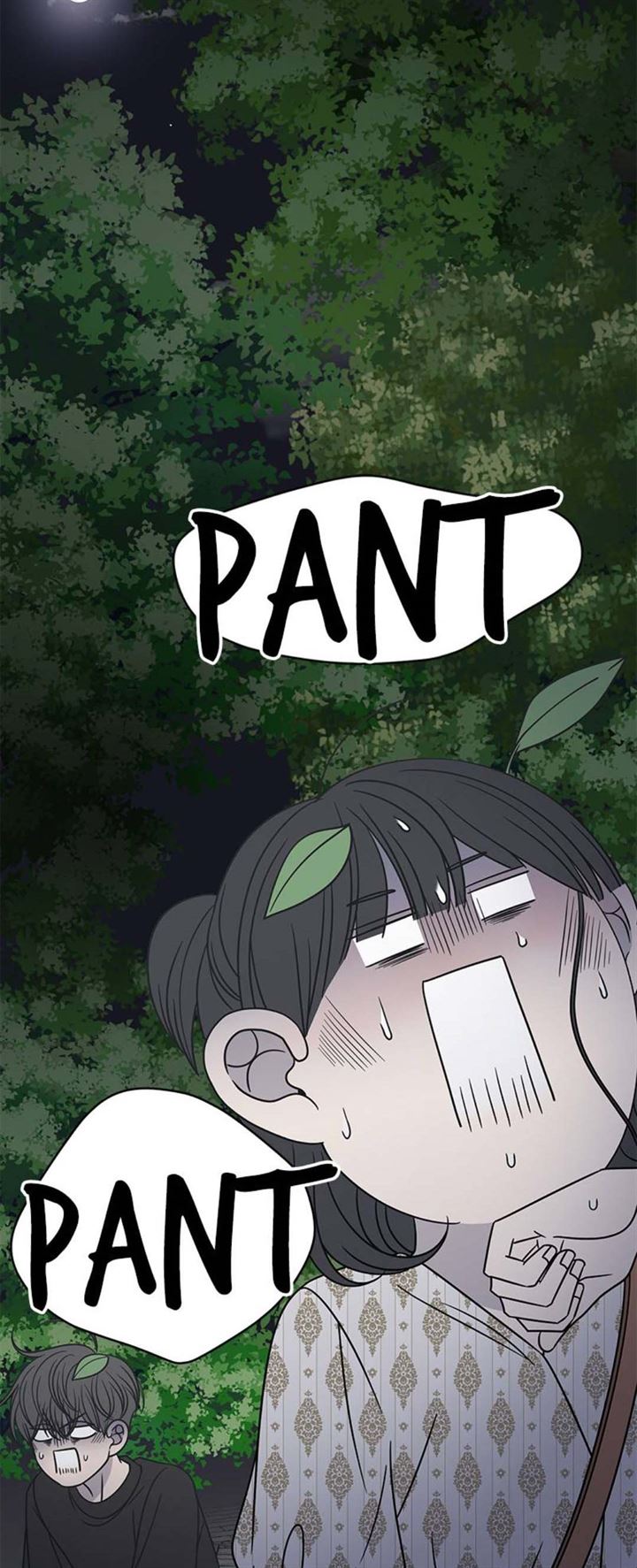 Panel 27
