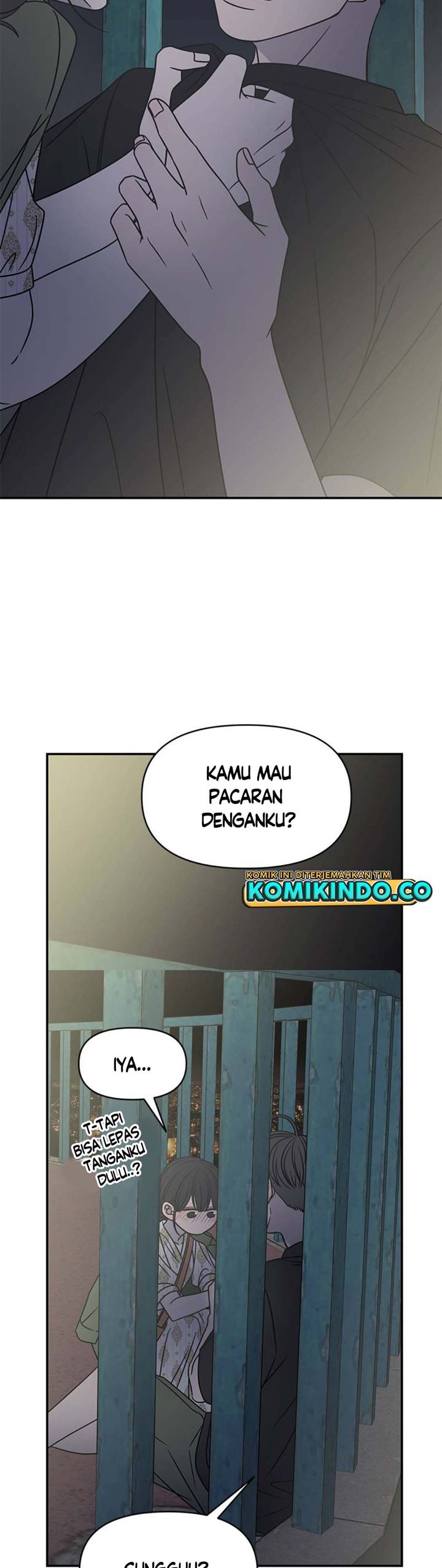 Panel 5