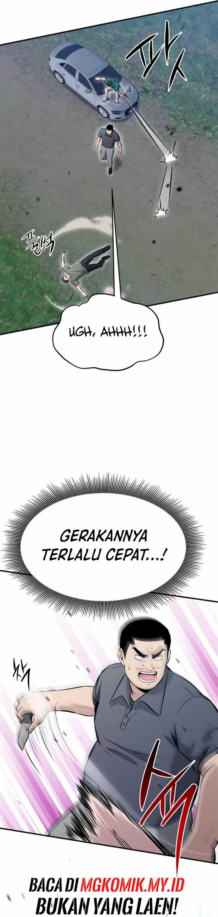 Panel 13