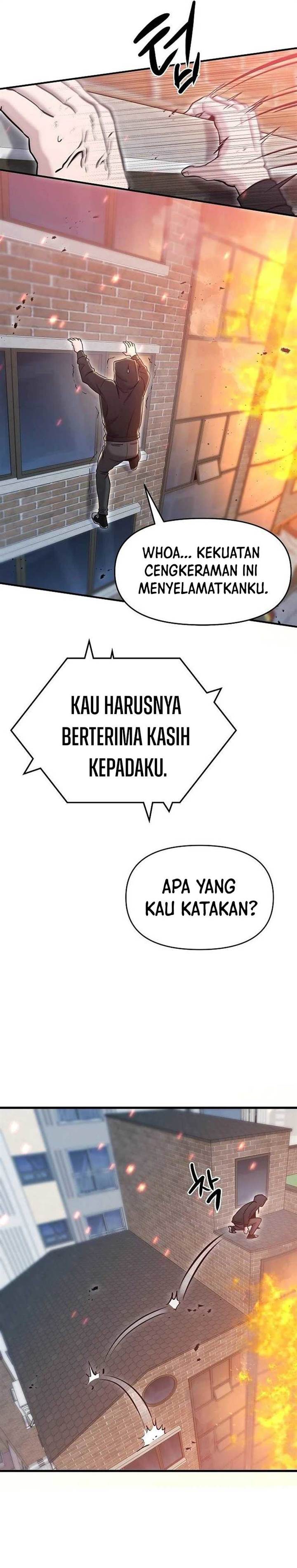 Panel 13