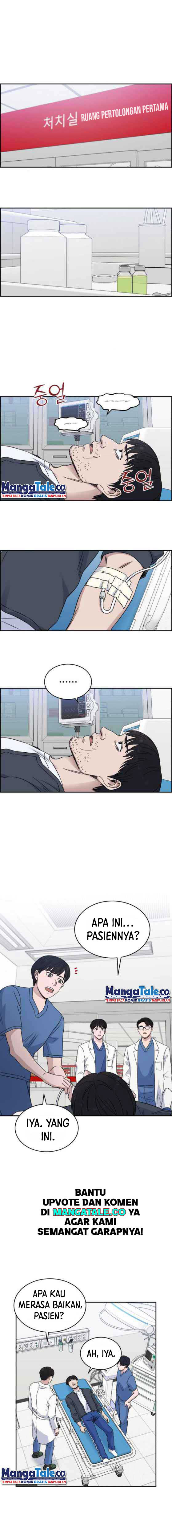 Panel 13