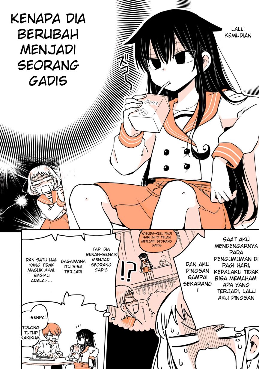 Panel 4