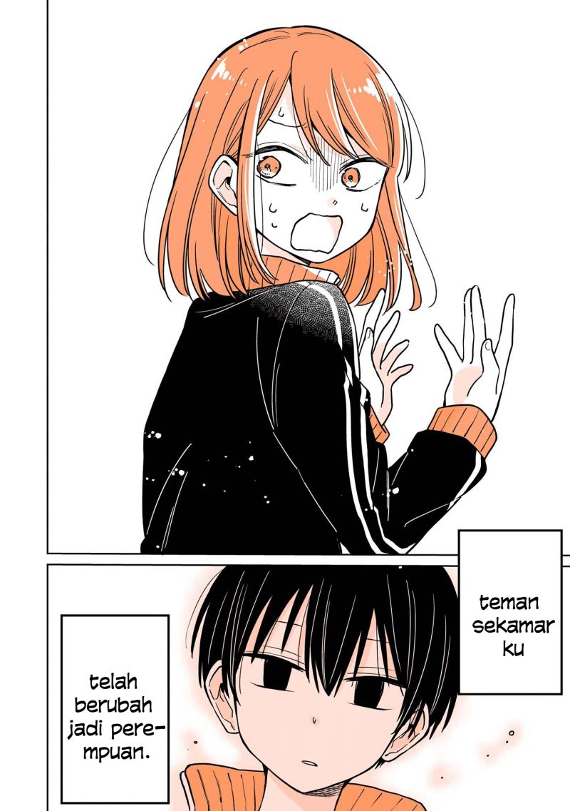 Panel 3