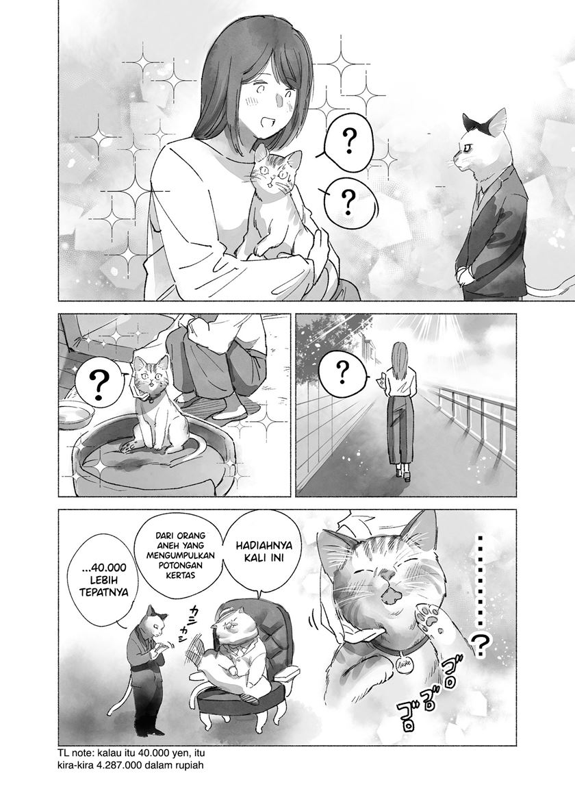 Panel 5