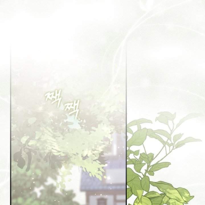 Panel 6