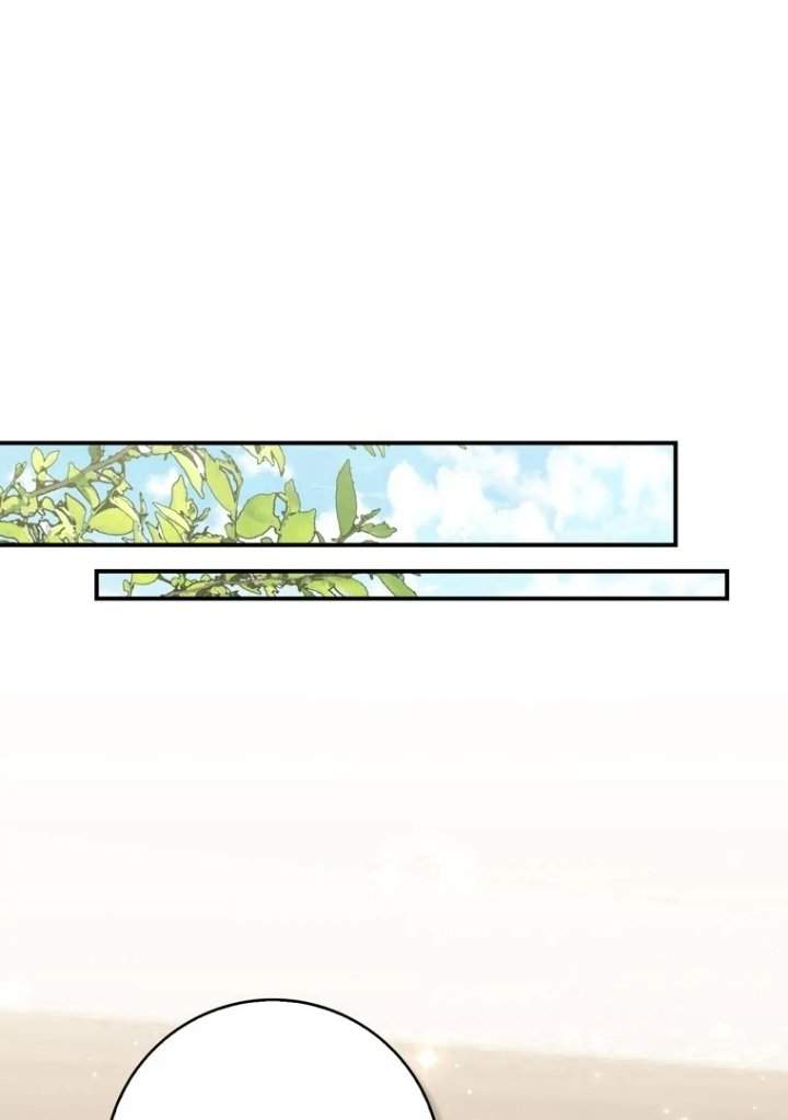 Panel 5
