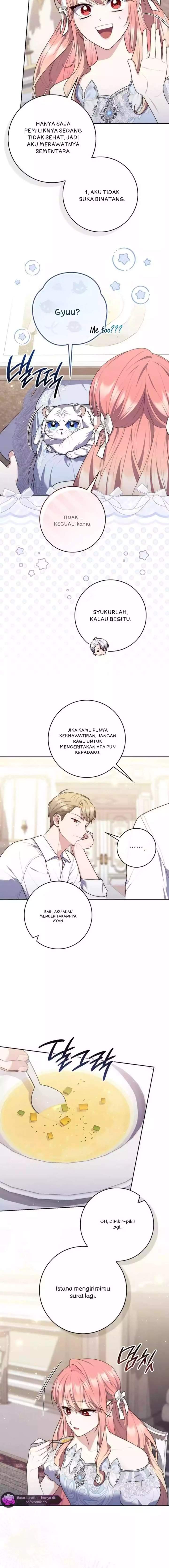 Panel 5