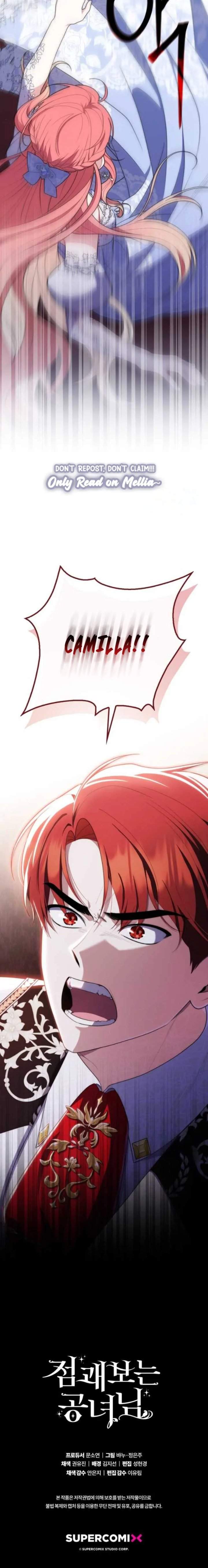 Panel 28