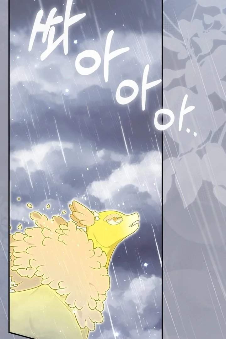Panel 101