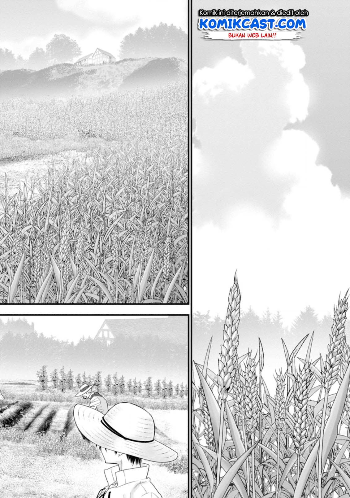 Panel 5