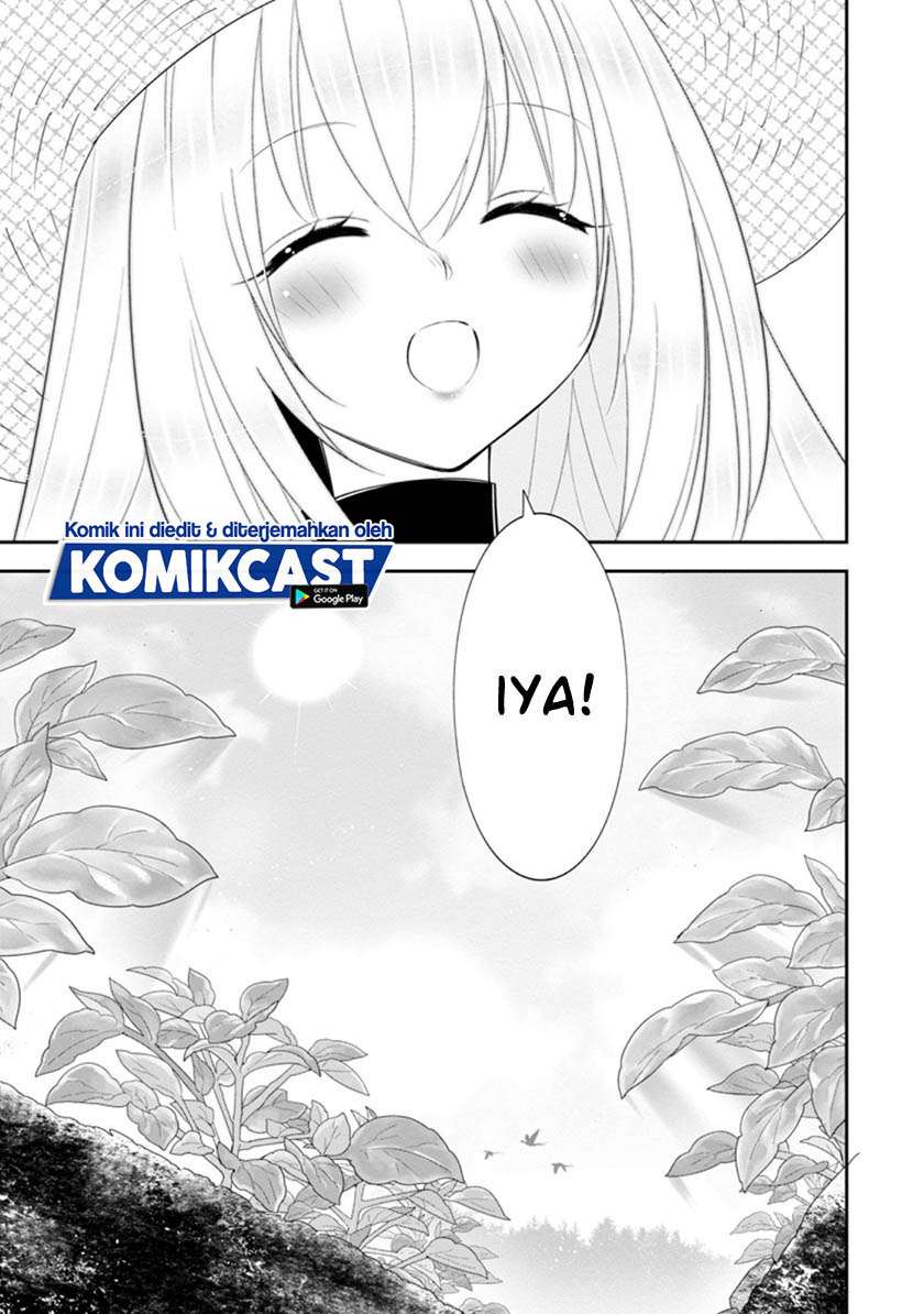 Panel 7