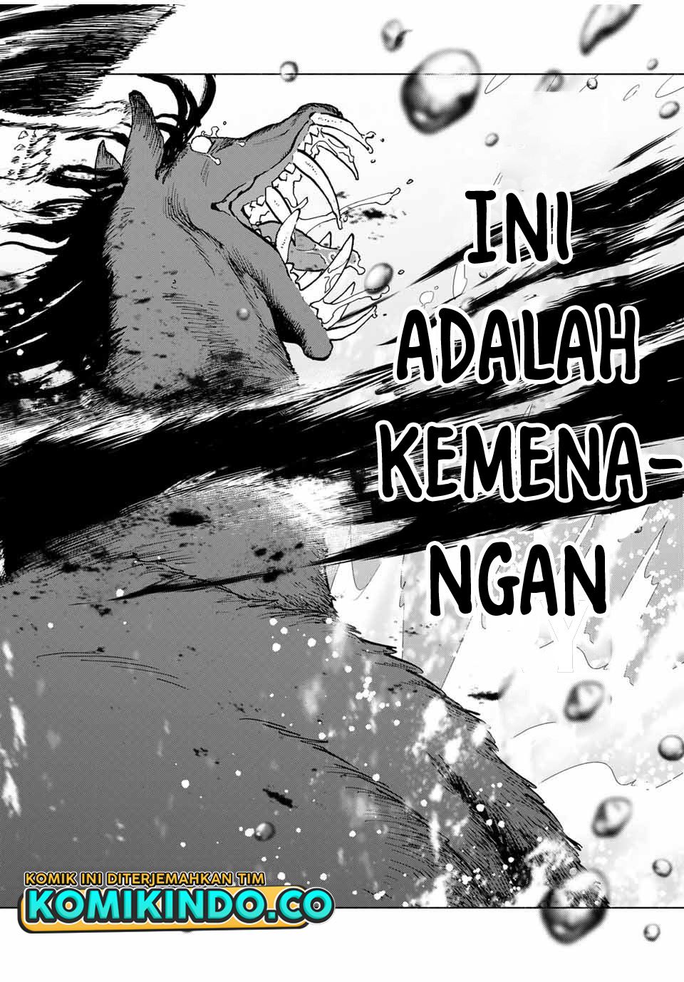 Panel 5