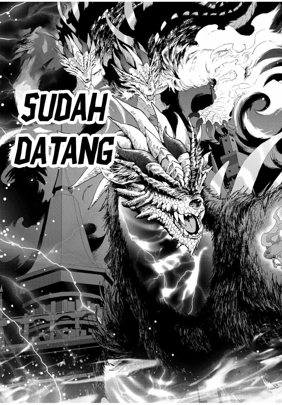 Panel 11