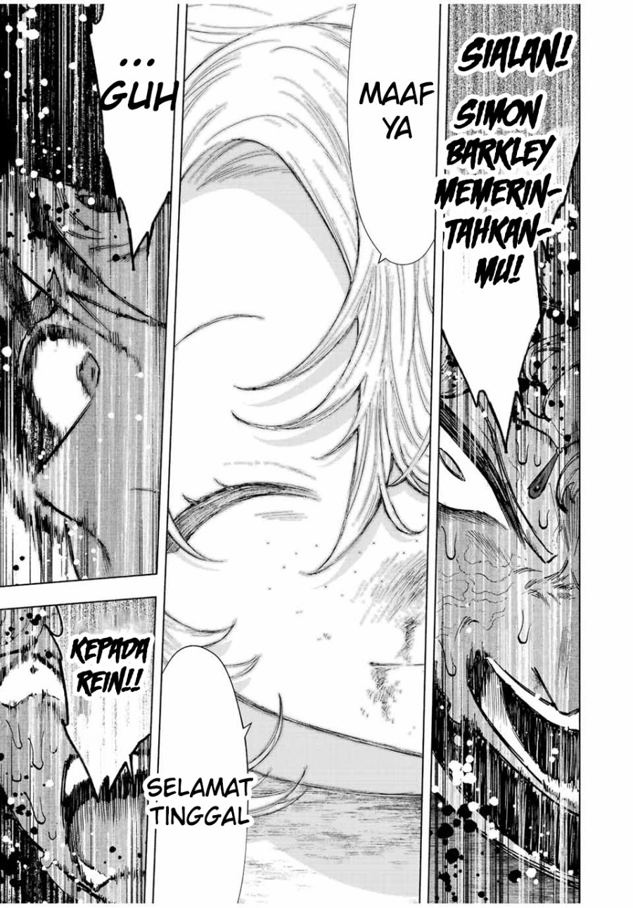 Panel 11