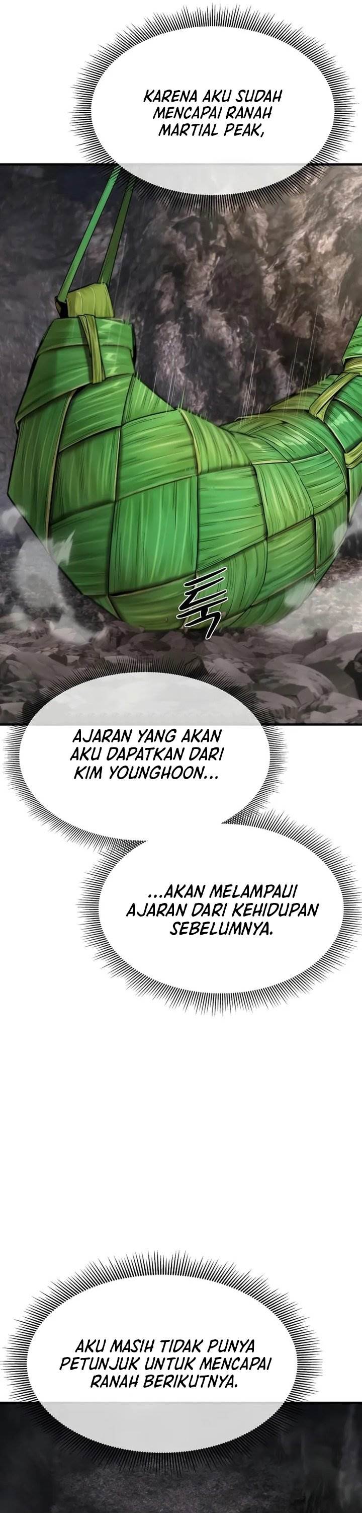 Panel 29