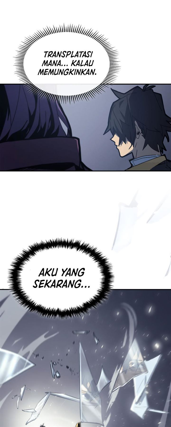 Panel 14