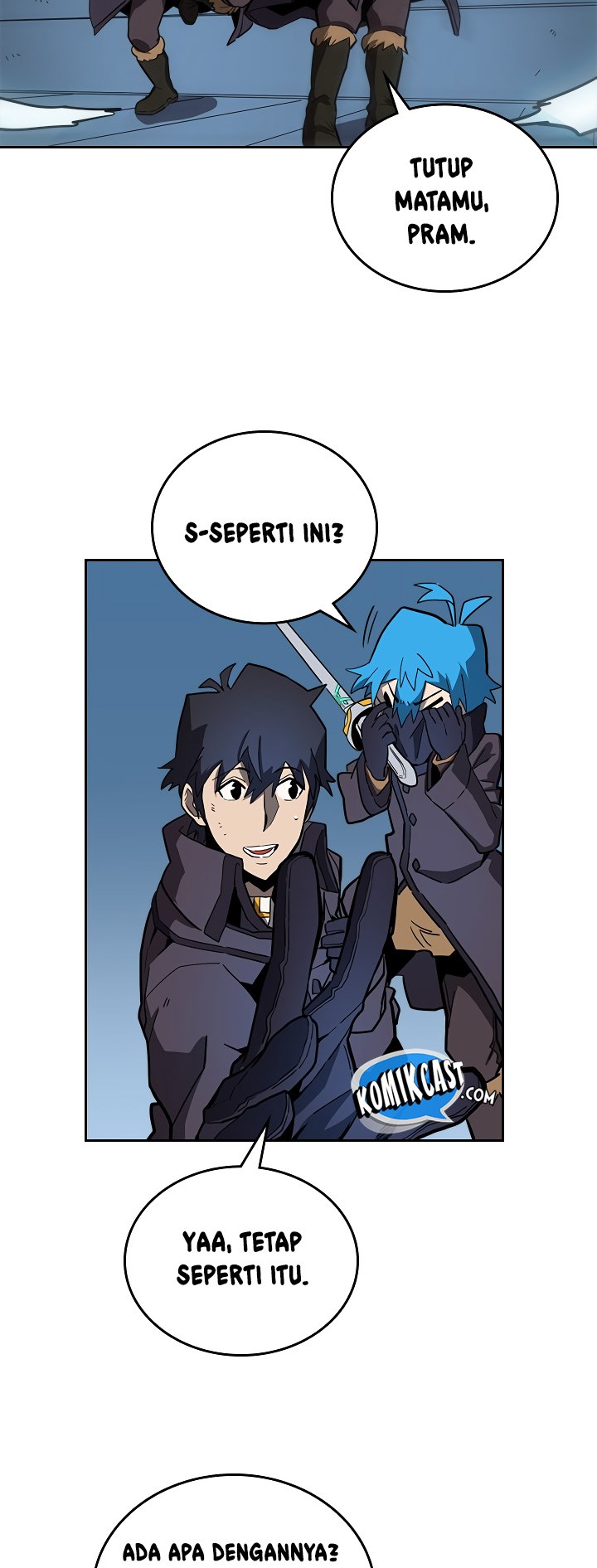 Panel 13