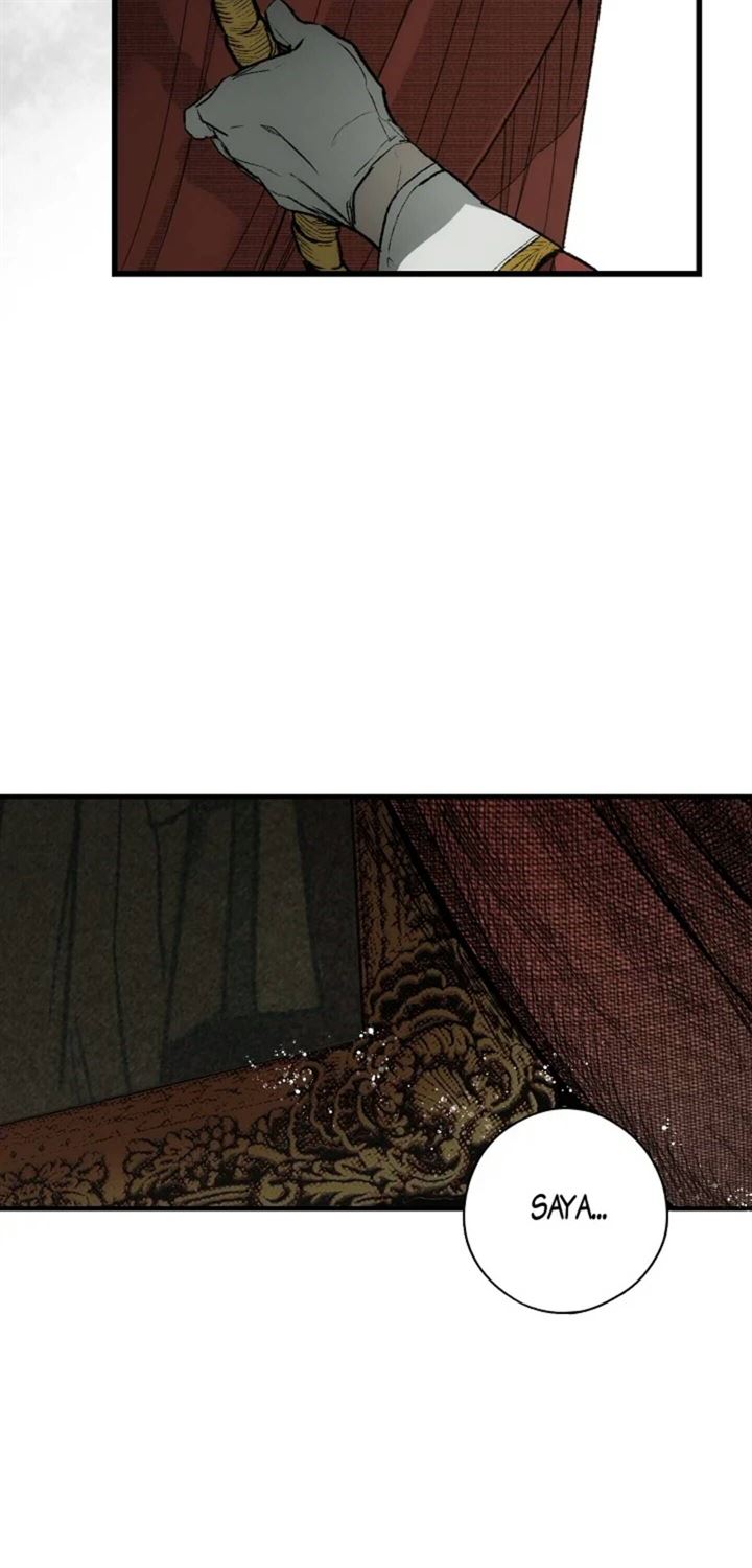 Panel 14