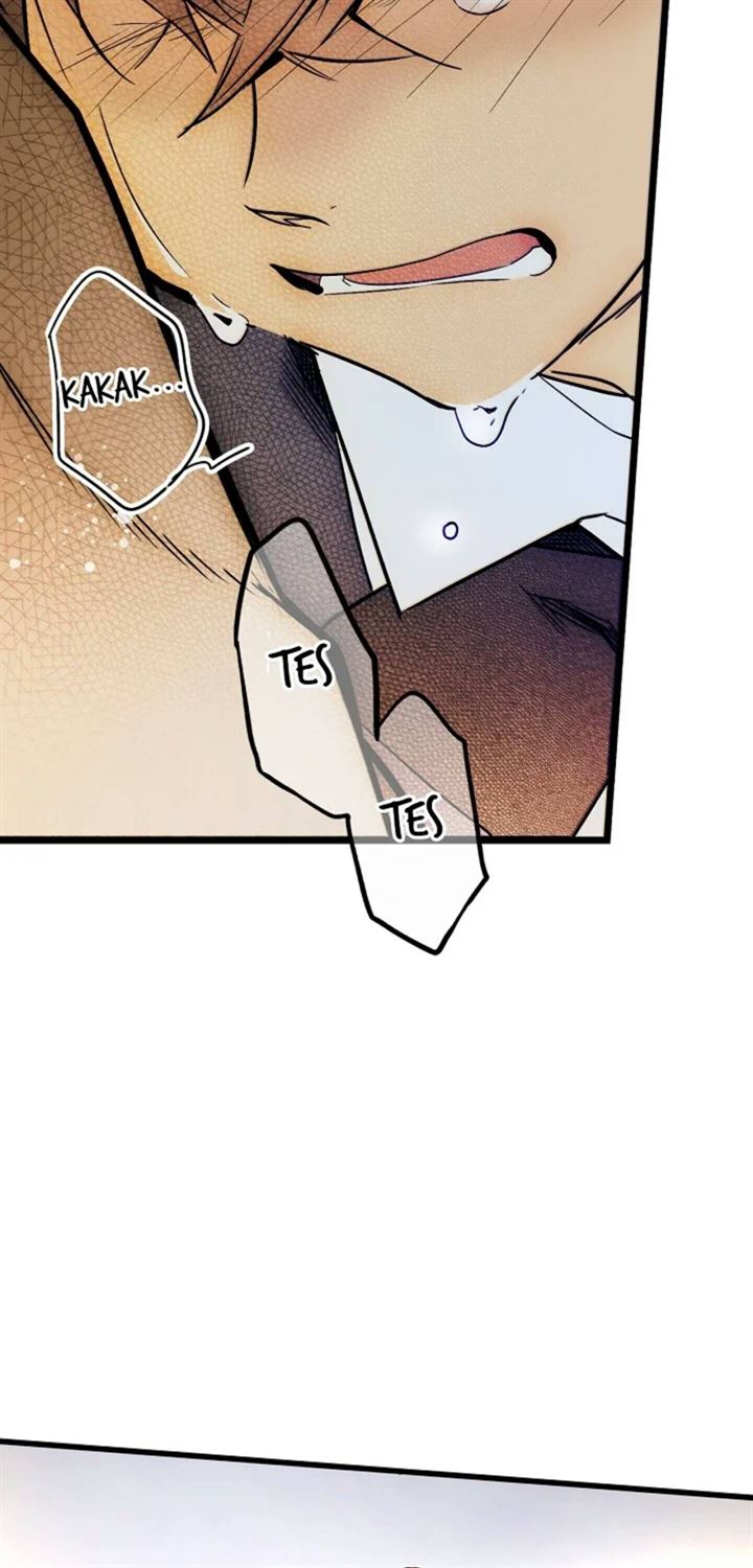 Panel 73