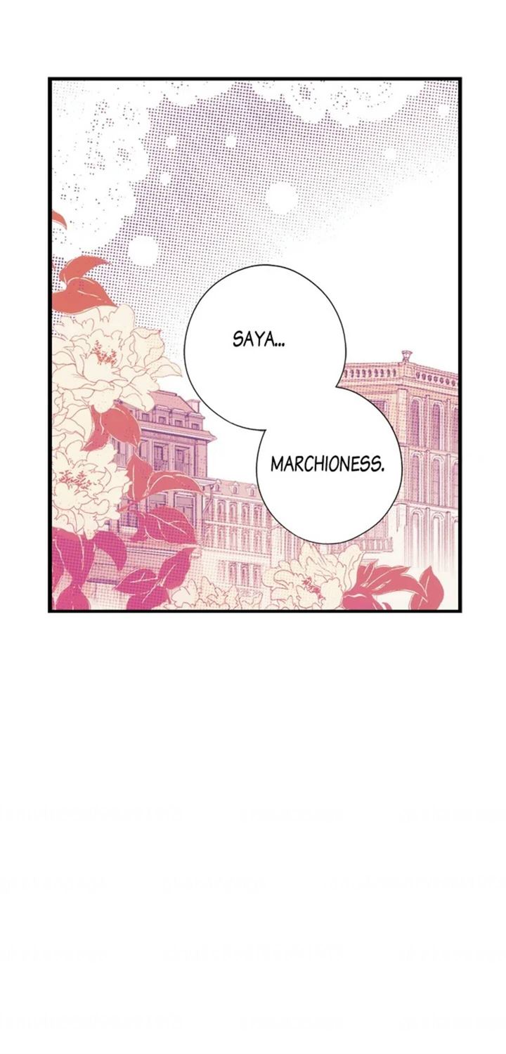 Panel 56
