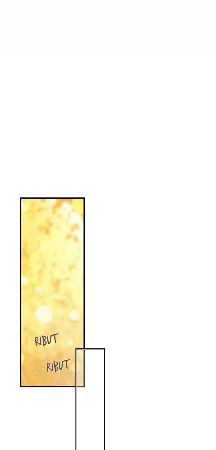 Panel 13