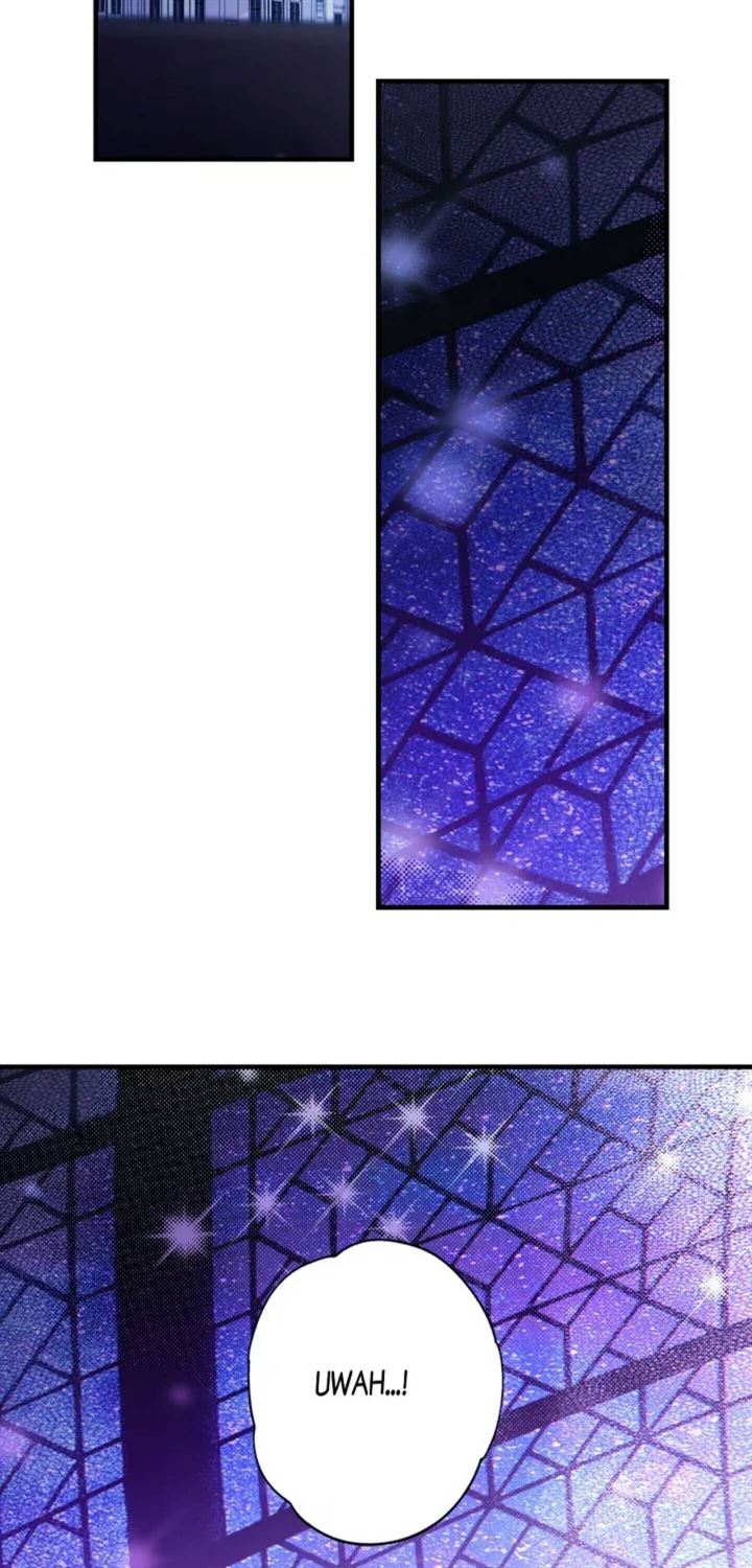 Panel 17