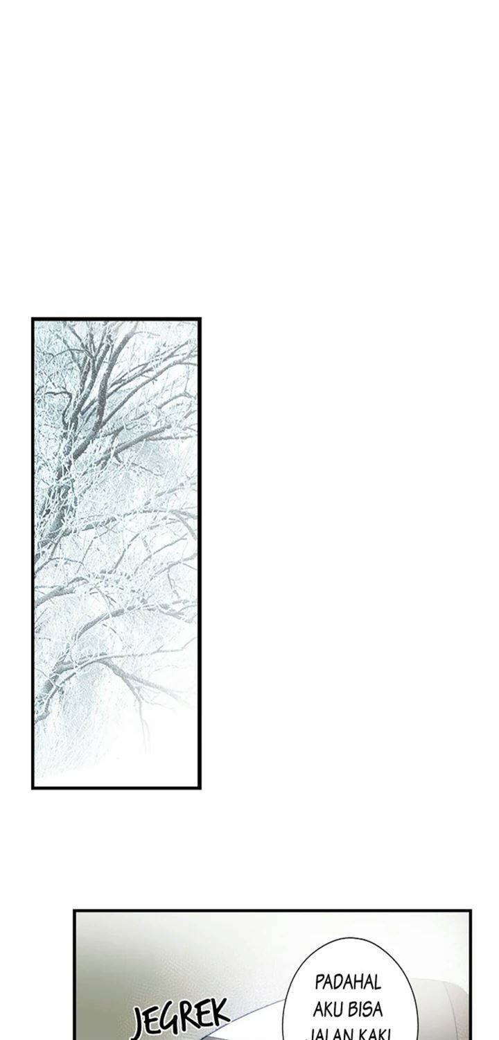 Panel 41