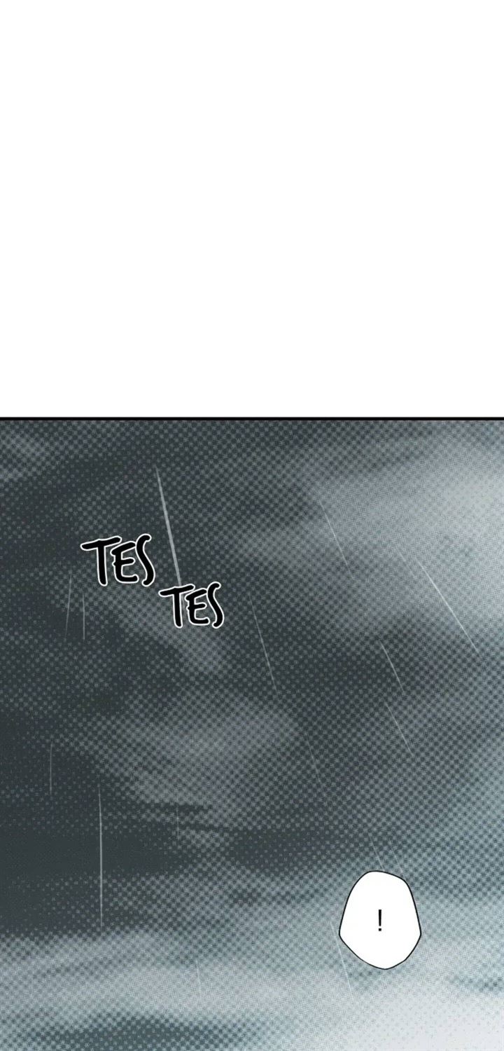 Panel 46
