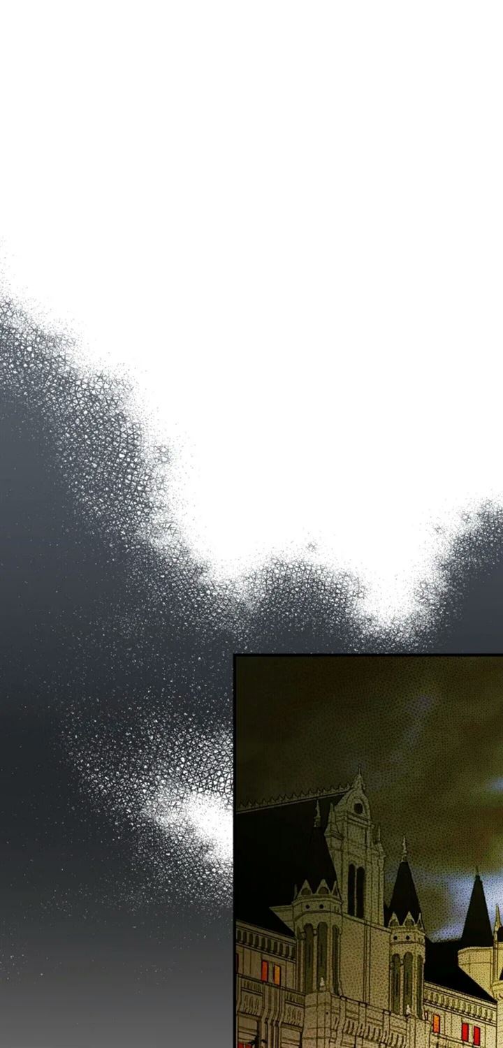 Panel 11