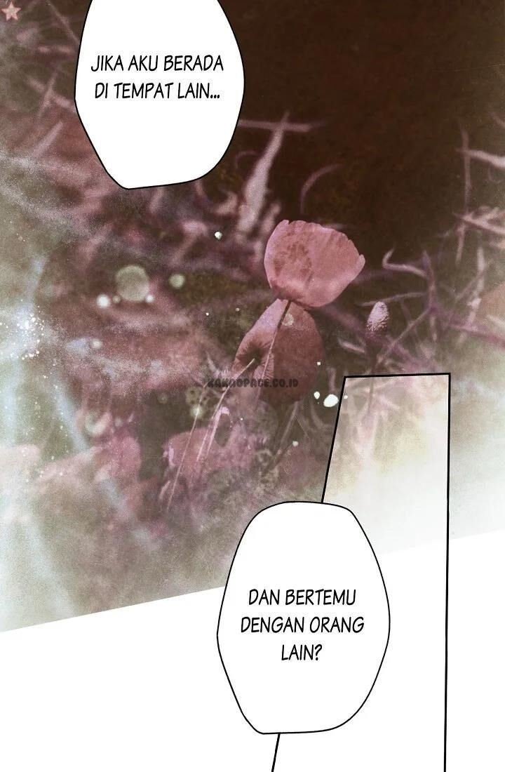 Panel 15