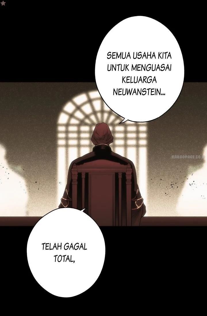 Panel 14