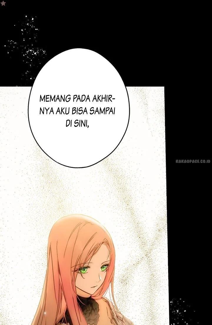 Panel 7