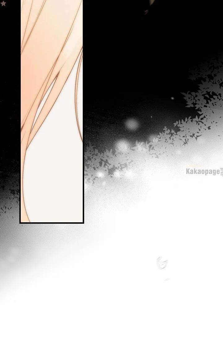 Panel 50