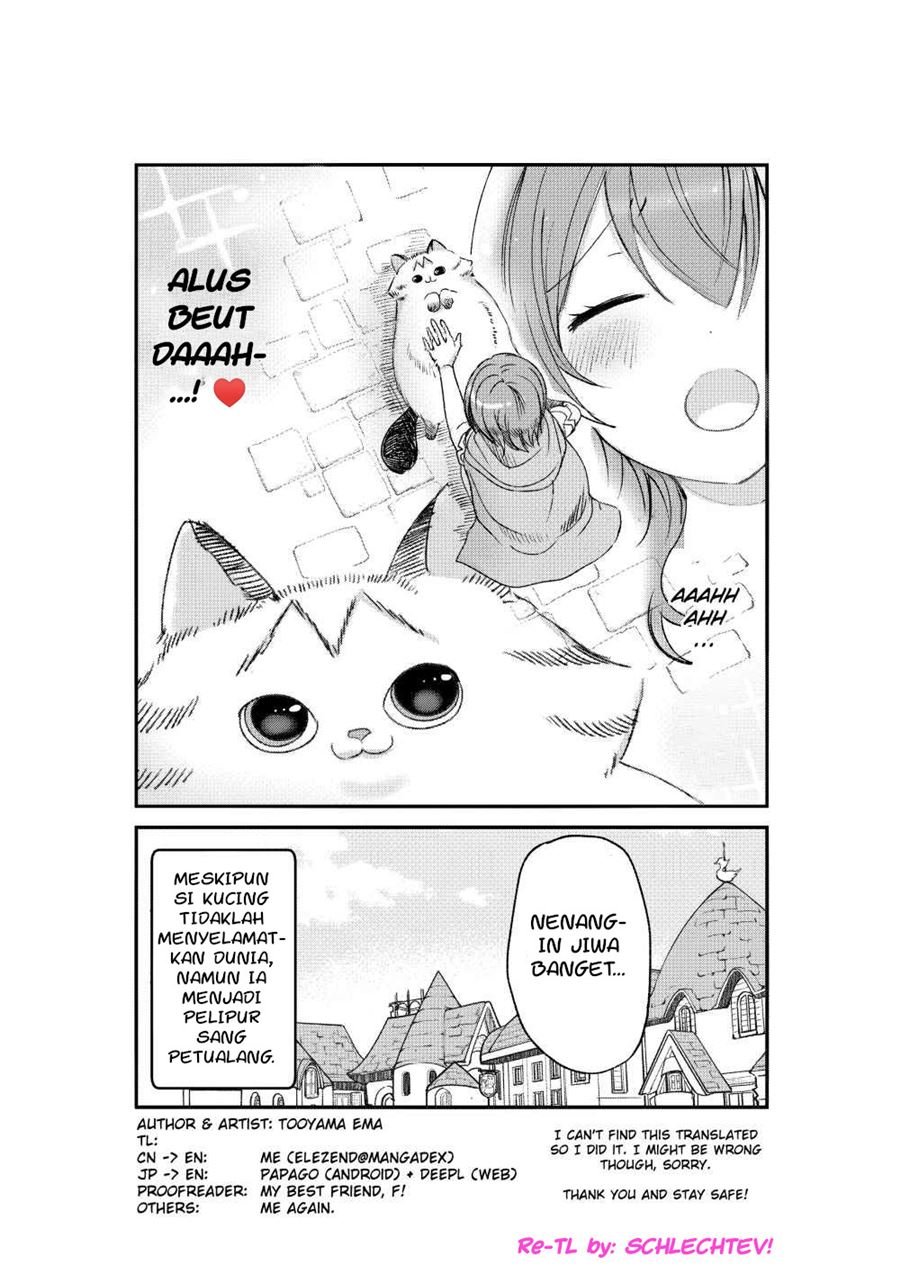 Panel 6