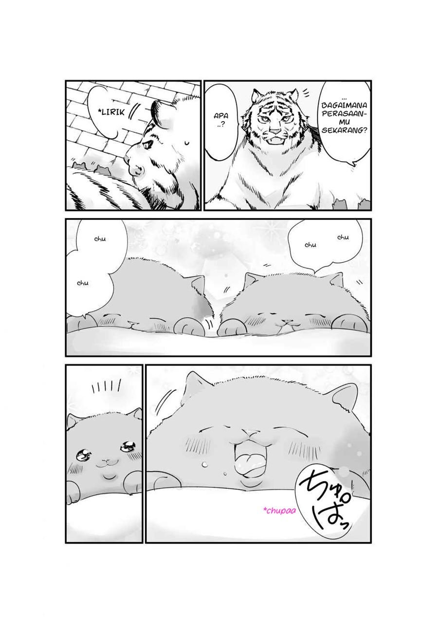 Panel 5