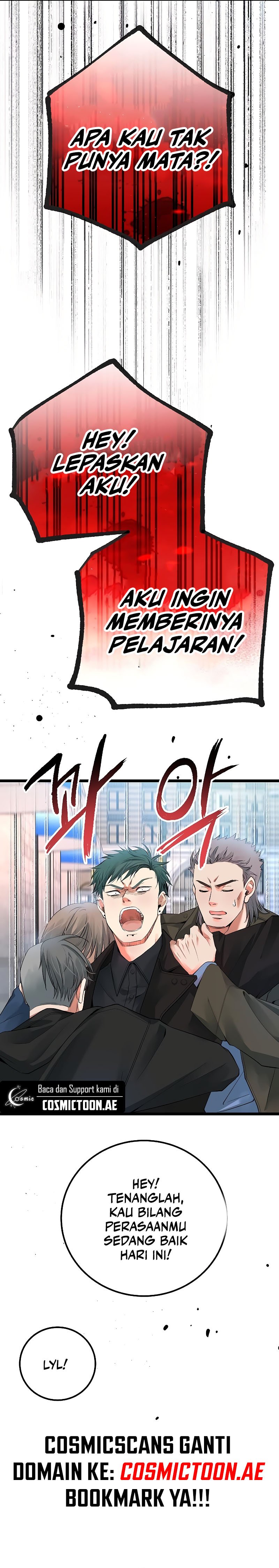Panel 20