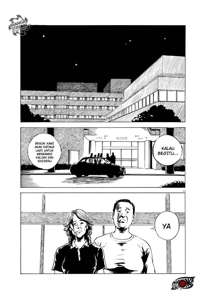 Panel 13