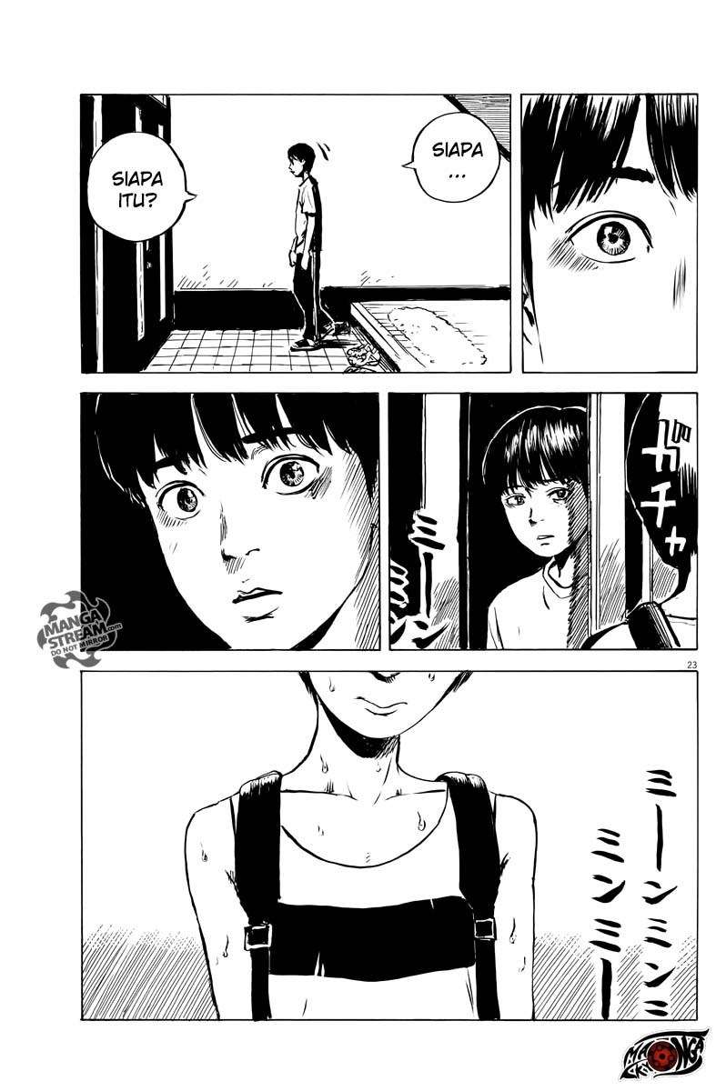 Panel 24