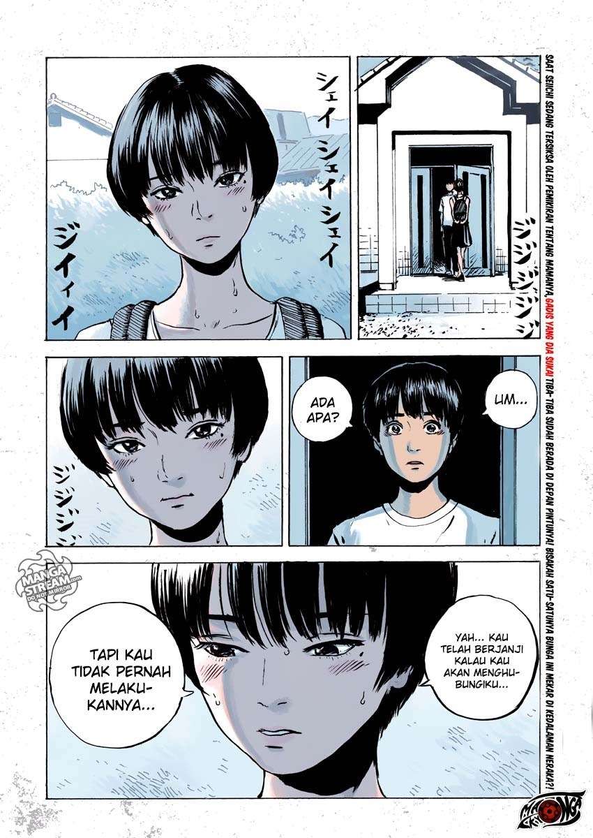 Panel 5