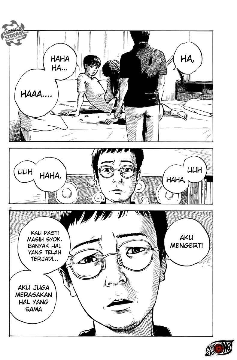 Panel 13