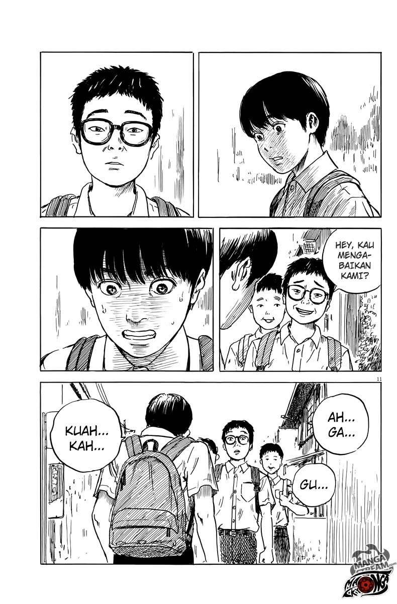 Panel 12