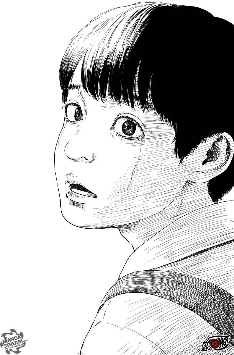 Panel 14