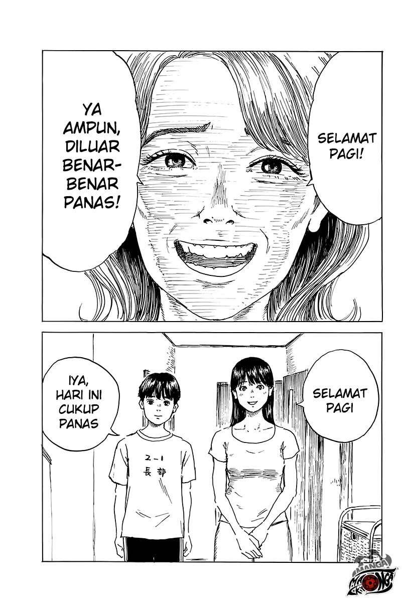 Panel 12